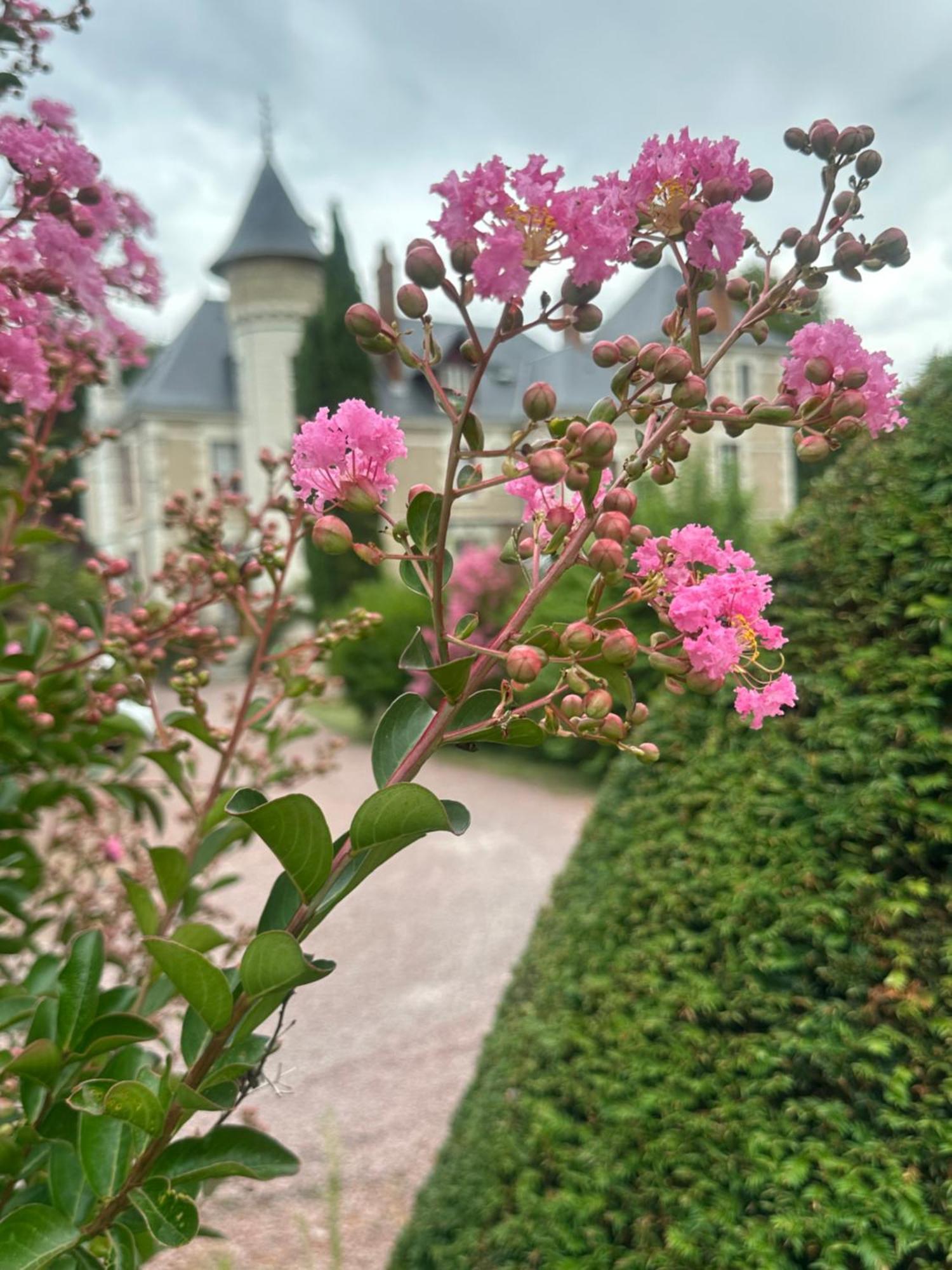 Le Moulin De Francueil B&B 외부 사진