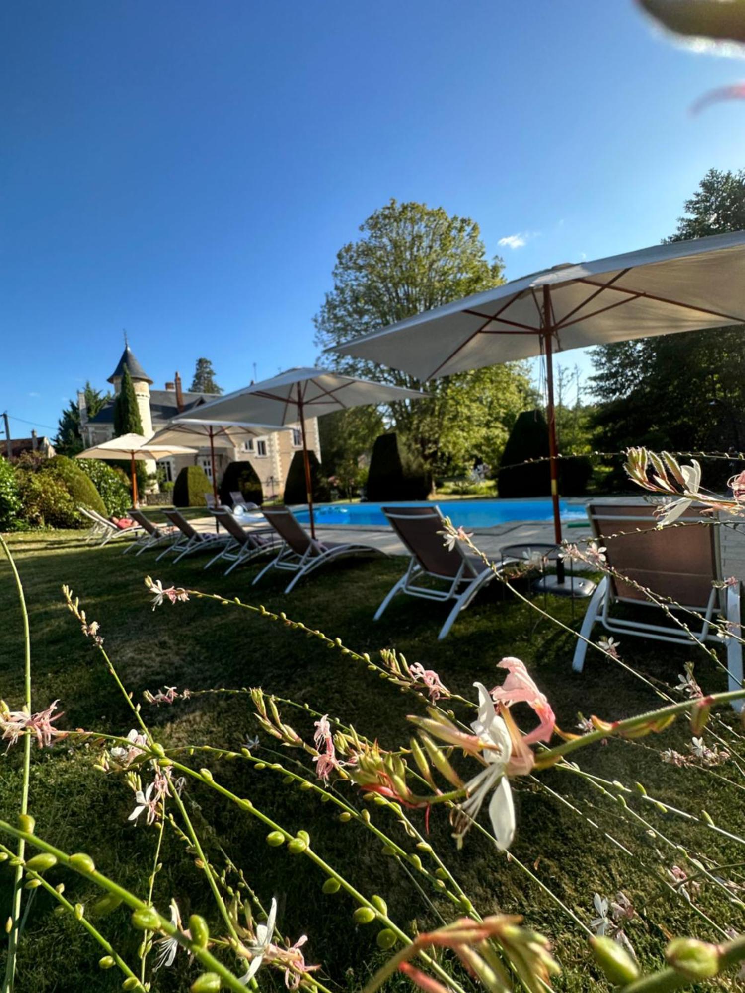Le Moulin De Francueil B&B 외부 사진